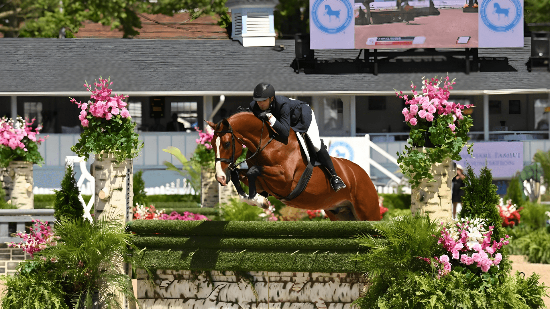 Contact Hesslink Williams