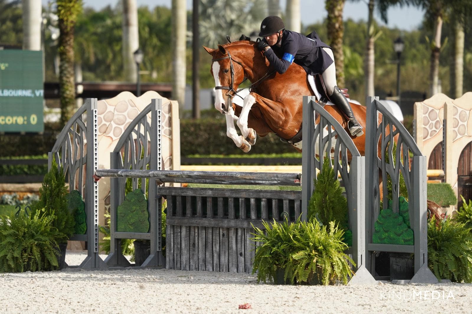 Professional Training